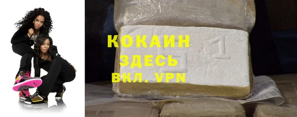 амф Мегион