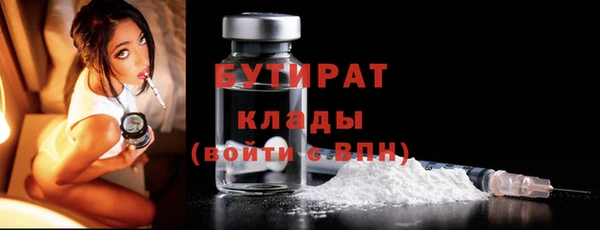 гидра Анжеро-Судженск