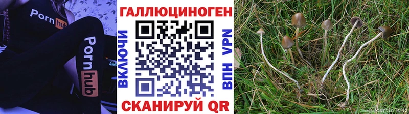 omg tor  Хадыженск  Псилоцибиновые грибы ЛСД 