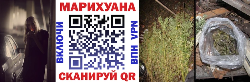 Канабис гибрид  Хадыженск 